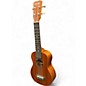 Used Cordoba Protege U1M Concert Mahogany Ukulele
