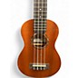 Used Cordoba Protege U1M Concert Mahogany Ukulele