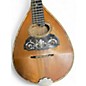 Used Leland Brilliantone Mandolin Vintage Natural Mandolin