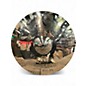 Used 2020s Zildjian 20in A Custom Ride Cymbal thumbnail