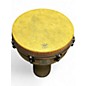 Used Remo mondo Djembe Djembe