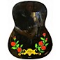 Used Esteban 7th anniversary Black Flowers Classical Acoustic Electric Guitar