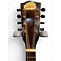 Used Beltone mandolin Mahogany Mandolin