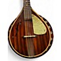Used Beltone mandolin Mahogany Mandolin