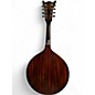 Used Beltone mandolin Mahogany Mandolin