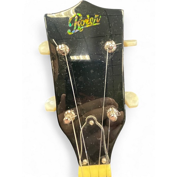 Used Rover RB-20 DARK SILVER Banjo