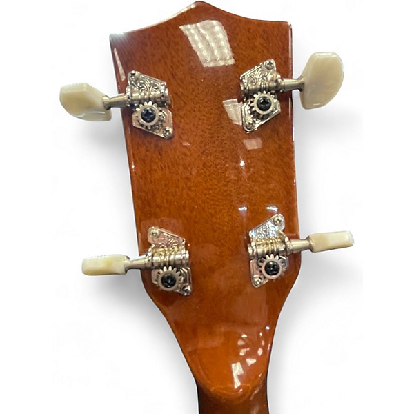 Used Rover RB-20 DARK SILVER Banjo