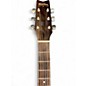 Used Washburn D10N Acoustic Guitar Natural Acoustic Guitar