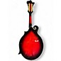 Used Washburn M3SWET F Style Transparent Wine Red Mandolin
