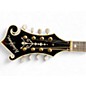 Used Washburn M3SWET F Style Transparent Wine Red Mandolin
