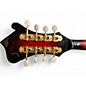 Used Washburn M3SWET F Style Transparent Wine Red Mandolin