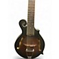 Used Gold Tone F-12 12-String F-Style Tobacco Sunburst Mandolin thumbnail