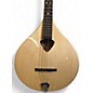 Used Gold Tone bz 500 Natural Mandolin