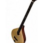 Used Gold Tone bz 500 Natural Mandolin