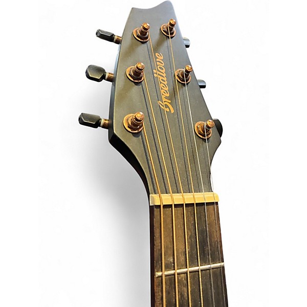 Used Breedlove RAINFOREST  PA CE BLACK Acoustic Electric Guitar