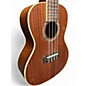Used Cordoba 15CM Concert Natural Ukulele