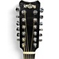 Used RainSong JM3000 CARBON FIBER 12 String Acoustic Electric Guitar