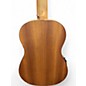 Used Cordoba MHE MINI BASS BROWN Acoustic Bass Guitar