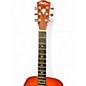 Used Washburn LYON NATURAL Acoustic Guitar