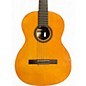 Used Cordoba Protege C1 NATURAL Classical Acoustic Guitar