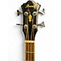 Used Ibanez AEB5E Black Acoustic Bass Guitar