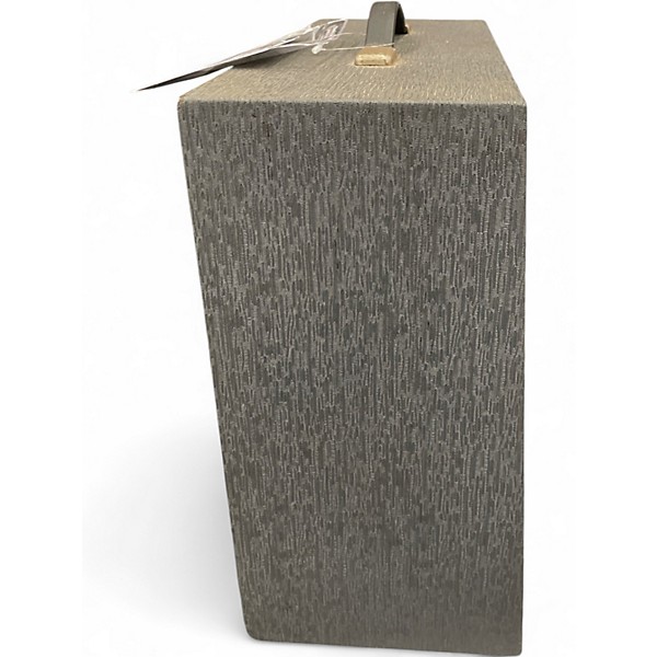 Vintage 1960s Danelectro DM10 TUBE AMP Tube Guitar Combo Amp