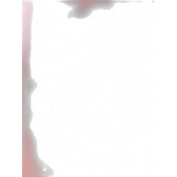 Used TAMA 14in WOODWORKS POPLAR ZEBRAWOOD Natural Drum