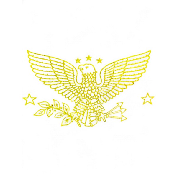 Used Lyle BANJO NATURAL Banjo