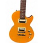 Used Epiphone Slash Signature Appetite for Destruction Les Paul Special II Slash Signature Solid Body Electric Guitar
