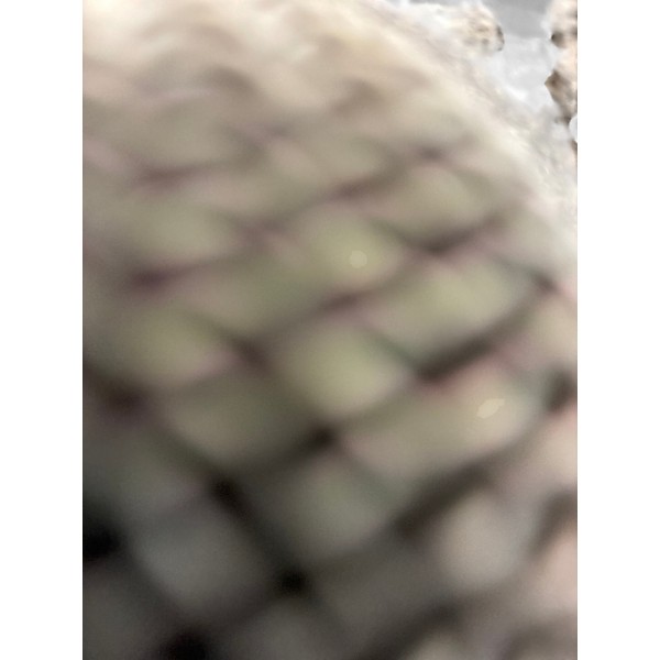 Used Shure Beta 58A Dynamic Microphone