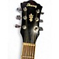 Used Ibanez AEL10LE-BK-14-02 Black Acoustic Guitar
