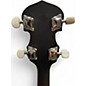 Used Washburn B7-A Mahogany Banjo