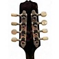 Used Gold Tone OM800+ Natural Mandolin