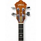 Used Greco GB900 Natural Electric Bass Guitar