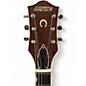 Used Gretsch Guitars G6120T-59VS Vintage Sunburst Hollow Body Electric Guitar
