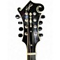 Used Northfield NFA-F51E SUNBURST Mandolin