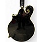 Used The Loar LM600 F Model BLACK Mandolin