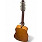 Vintage 1980s Seagull 12 string Vintage Natural 12 String Acoustic Guitar