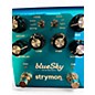 Used Strymon Bluesky Reverb Effect Pedal
