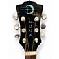 Used Luna Fauna Phoenix Black Acoustic Electric Guitar