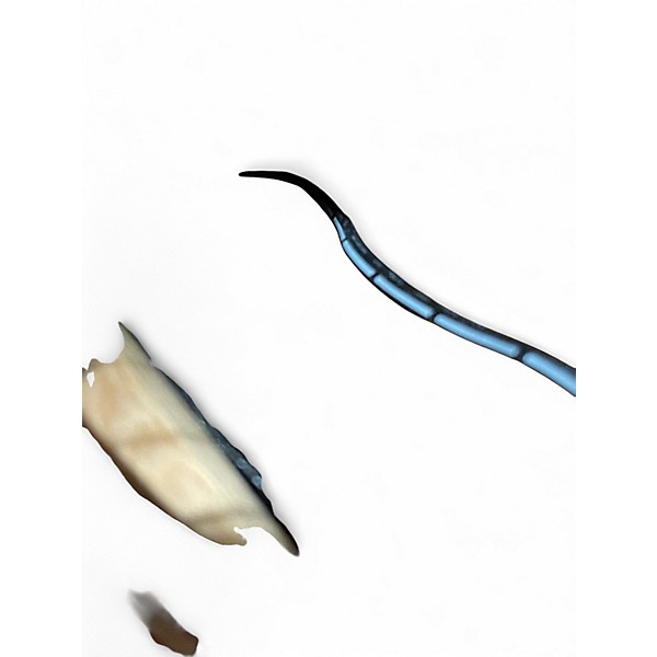 Used Martin SWDGT Natural Acoustic Guitar