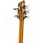 Used Washburn Force ABT Series 5 String Bass Natural Electric Bass Guitar