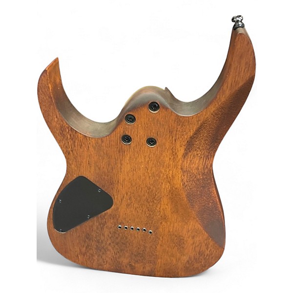 Used 2020s Ibanez RG421 Mahogany Solid Body Electric Guitar