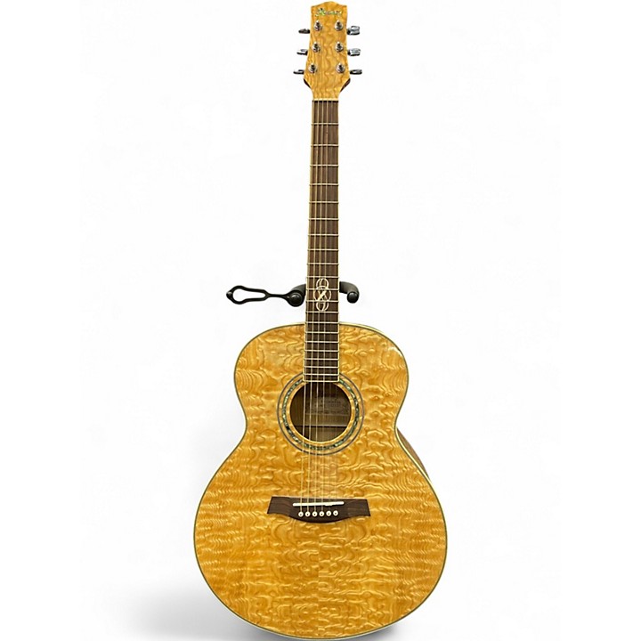 IBANEZ EW20AS acoustic guitars for sale in USA | guitar-list