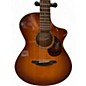 Used Breedlove passport plus c250/sfe burst Acoustic Electric Guitar