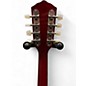 Used Kay MAND20 Cherry Sunburst Mandolin