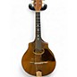 Vintage 1900s Vega cylinder back Natural Mandolin thumbnail