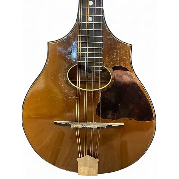 Vintage 1900s Vega cylinder back Natural Mandolin