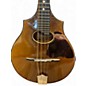Vintage 1900s Vega cylinder back Natural Mandolin