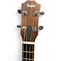 Used Taylor GS Mini E Bass Maple Acoustic Bass Guitar
